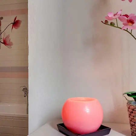 Charlotte Apartment *